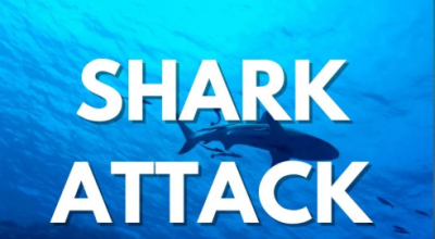 Giovane attaccata da uno squalo alle Bahamas