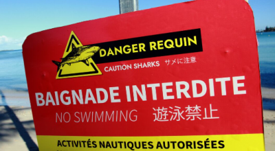 Squalo attacca un uomo a Port Noarlunga nell'Australia Meridionale