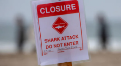 Surfista californiano sopravvive all'attacco di uno squalo nel fine settimana al largo di Montara State Beach