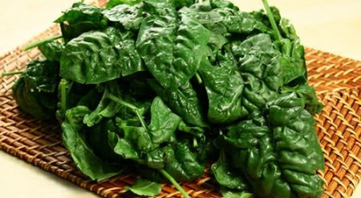 Una sostanza presente negli spinaci rende le cellule immunitarie più forti contro il cancro