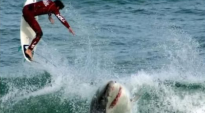 Un surfista sopravvive all'attacco di uno squalo su una spiaggia della Florida, soprannominata 