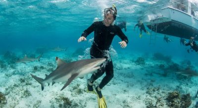 Bahamas: turista azzannato da uno squalo durante un'escursione di snorkeling