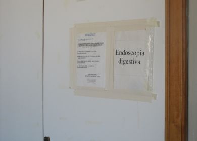 endoscopia