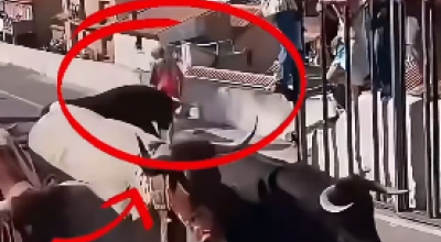 Spagna: toro attacca donna di 64 anni durante una corrida e la uccide