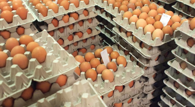 Allerte in Europa per specifici lotti di uova italiane: anche in Italia richiamo di massa a causa della presenza di salmonella