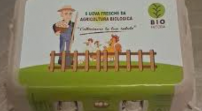 Salmonella typhimurium nell’allevamento, richiamate uova fresche dell'avicola Società agricola Fattoria Paradello