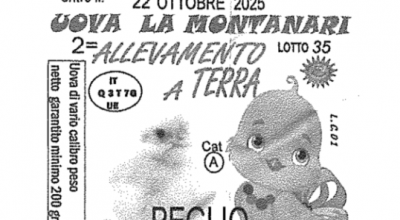 Salmonella enteritidis nell’allevamento, richiamate uova fresche ‘Le Coccoline’ a marchio La Montanari.