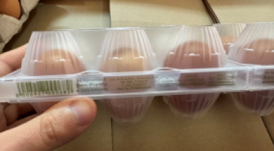 Potenziale rischio salmonella in un allevamento in Sardegna, richiamate uova fresche di CAT. A