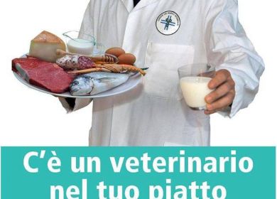 veterinario spot