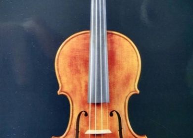 violino
