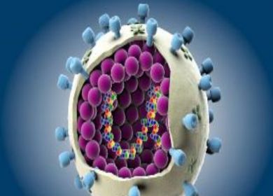 virus