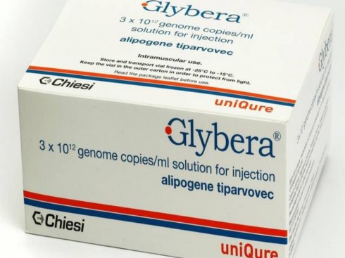 gylbera