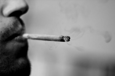 cannabis cannabis