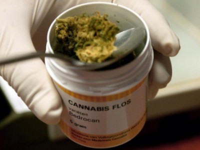 cannabis uso medico