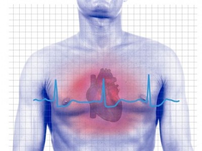 cuore grafico