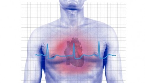 cuore grafico cuore grafico