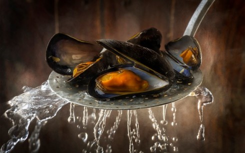cozze cozze