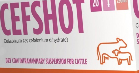 cefshot cefshot