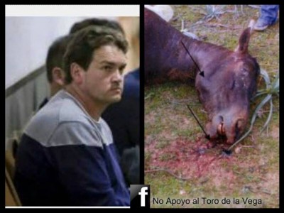 cavallo ucciso e padrone