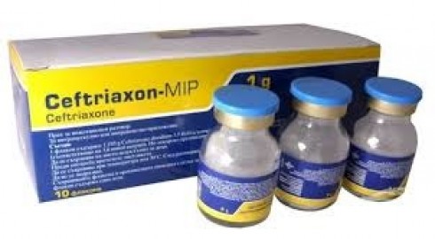 ceftriaxone ceftriaxone