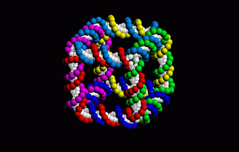dna dna