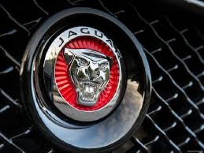 jaguar