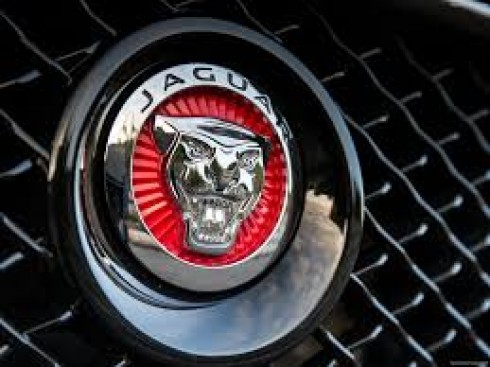 jaguar jaguar
