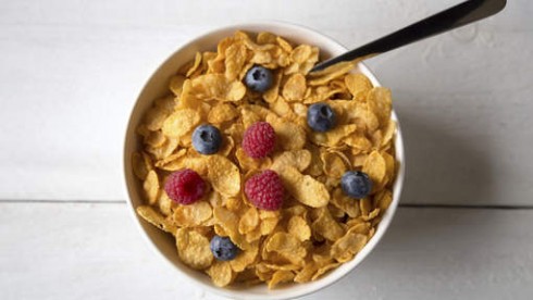 kellogg kellogg
