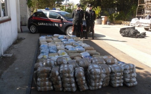 Marijuana sbarcata nel salento Marijuana sbarcata nel salento