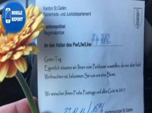 multa con un fiore multa con un fiore