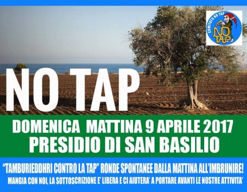 comitato NO TAP comitato NO TAP