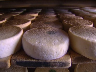 Contaminazioni da Escherichia Coli: in Francia indagine sulla morte sospetta di un bambino, probabilmente correlata ai lotti di formaggio Reblochon ritirati dal mercato
