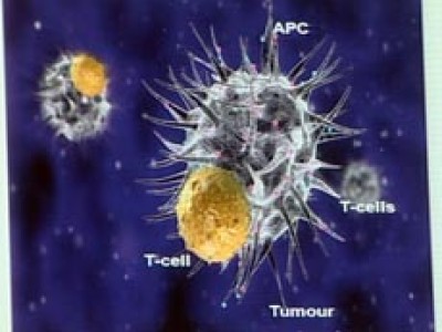 vaccini contro i tumori