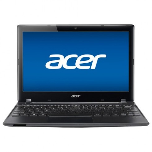 acer acer