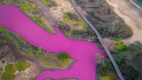 L’acqua è diventata improvvisamente rosa, ma nessuno sa perché