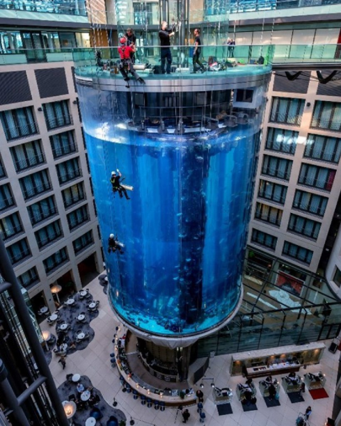 1500 pesci muoiono nell'esplosione dell'acquario di Berlino - VIDEO