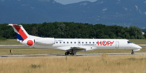 Uccello contro aereo volo Lione - Bologna