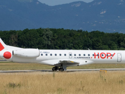 Uccello contro aereo volo Lione - Bologna