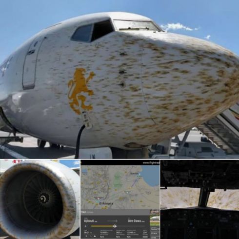 Milioni di locuste impediscono l'atterraggio di un volo della Ethiopian Airlines.