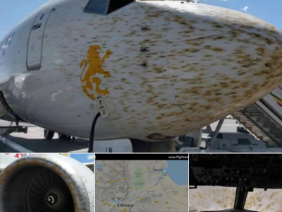 Milioni di locuste impediscono l'atterraggio di un volo della Ethiopian Airlines. 