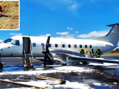 Incidente aereo in Tanzania: velivolo Sindbard Air impatta contro una zebra e compie un atterraggio di emergenza a Kilimanjaro