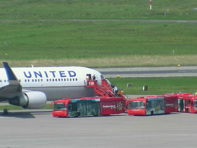 United Airlines deve annullare il decollo a causa di un bird strike. 