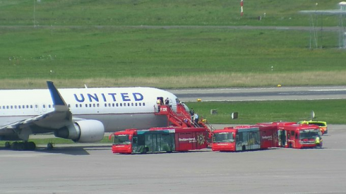 United Airlines deve annullare il decollo a causa di un bird strike. 