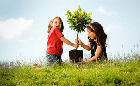 albero bimbi albero bimbi