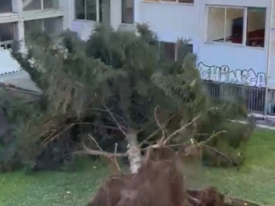 Milano: gli effetti della tempesta "Roxana" si fanno sentire anche in città (VIDEO)