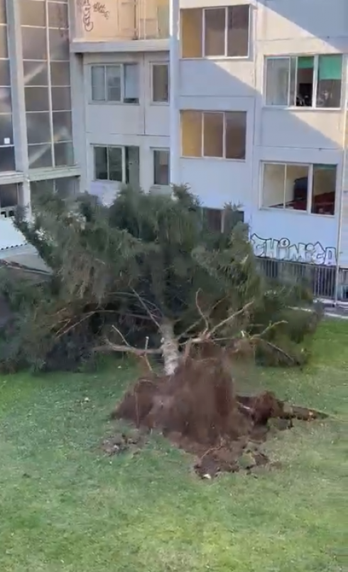 Milano: gli effetti della tempesta "Roxana" si fanno sentire anche in città (VIDEO)