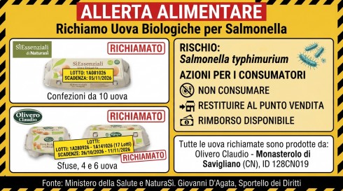 Allerta alimentare: ritirate uova biologiche per rischio Salmonella
