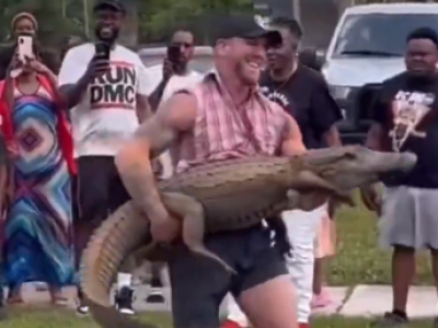 Video shock, uomo cattura alligatore di 2,5 metri a mani nude