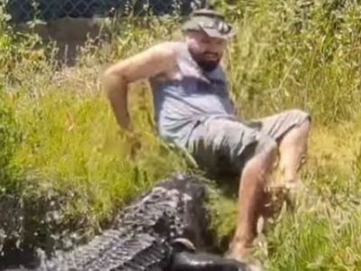 Sfugge per un pelo al morso di un alligatore – VIDEO