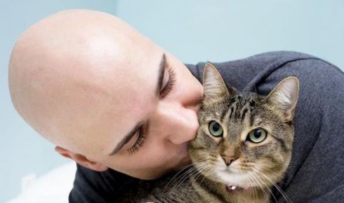 gatto gatto